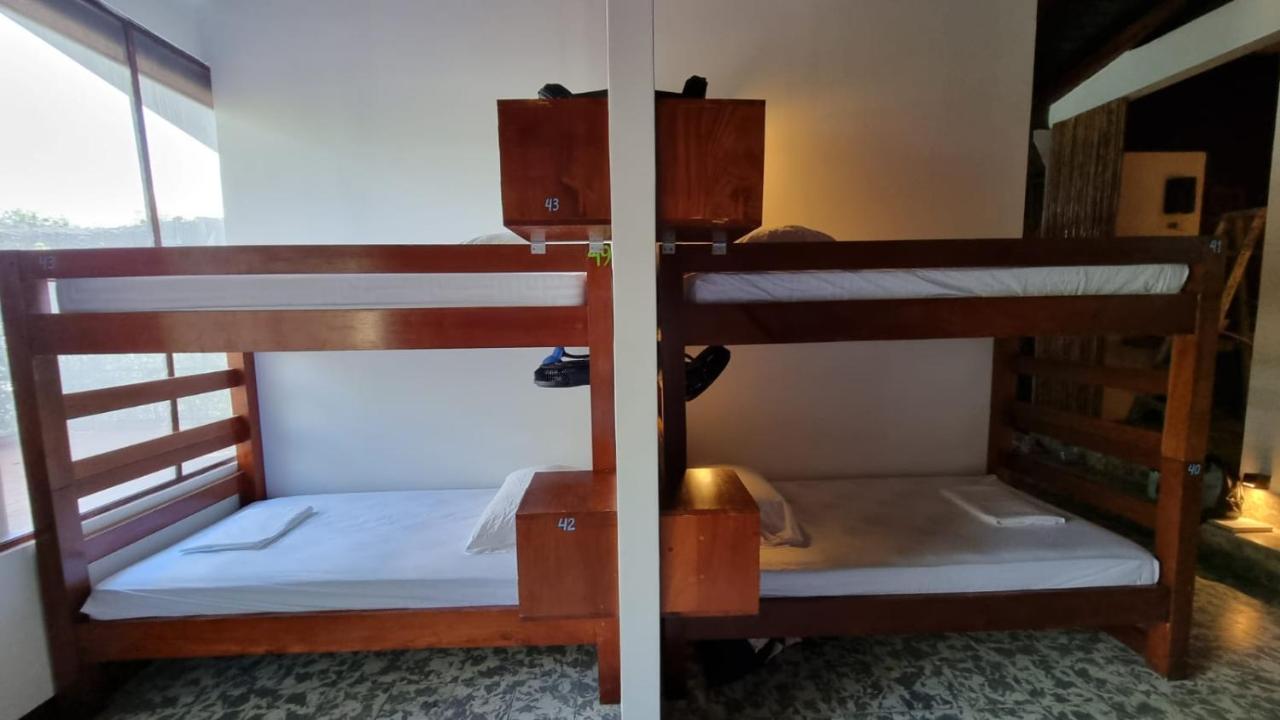 Paradiso Hostel La Laguna Bagian luar foto