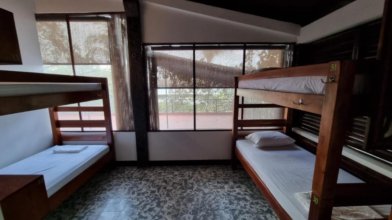 Paradiso Hostel La Laguna Bagian luar foto